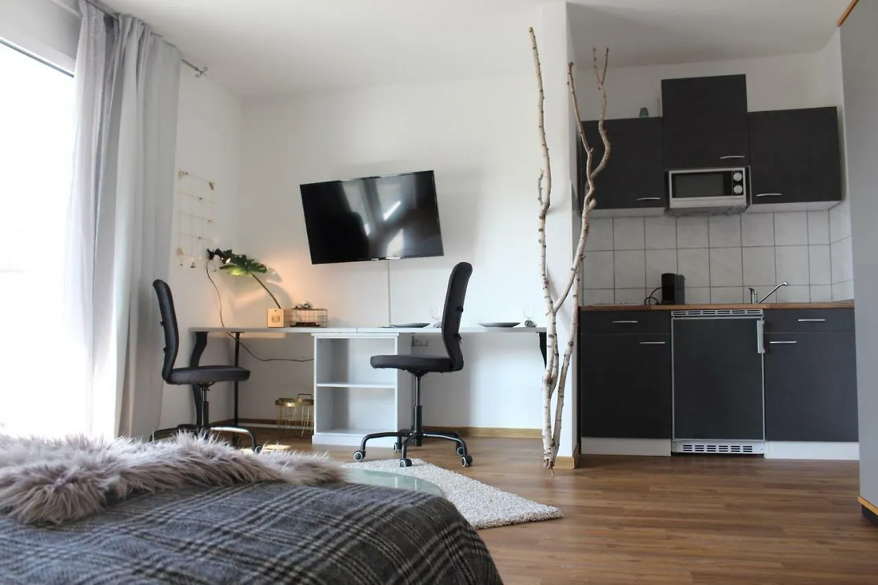 Apartment Sudermann 루드빅스하펜 암 라인 독일